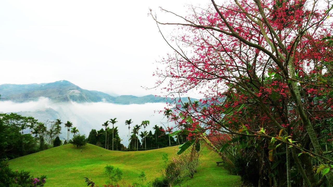 Villa Foggy Wonderland à Zhushan Extérieur photo